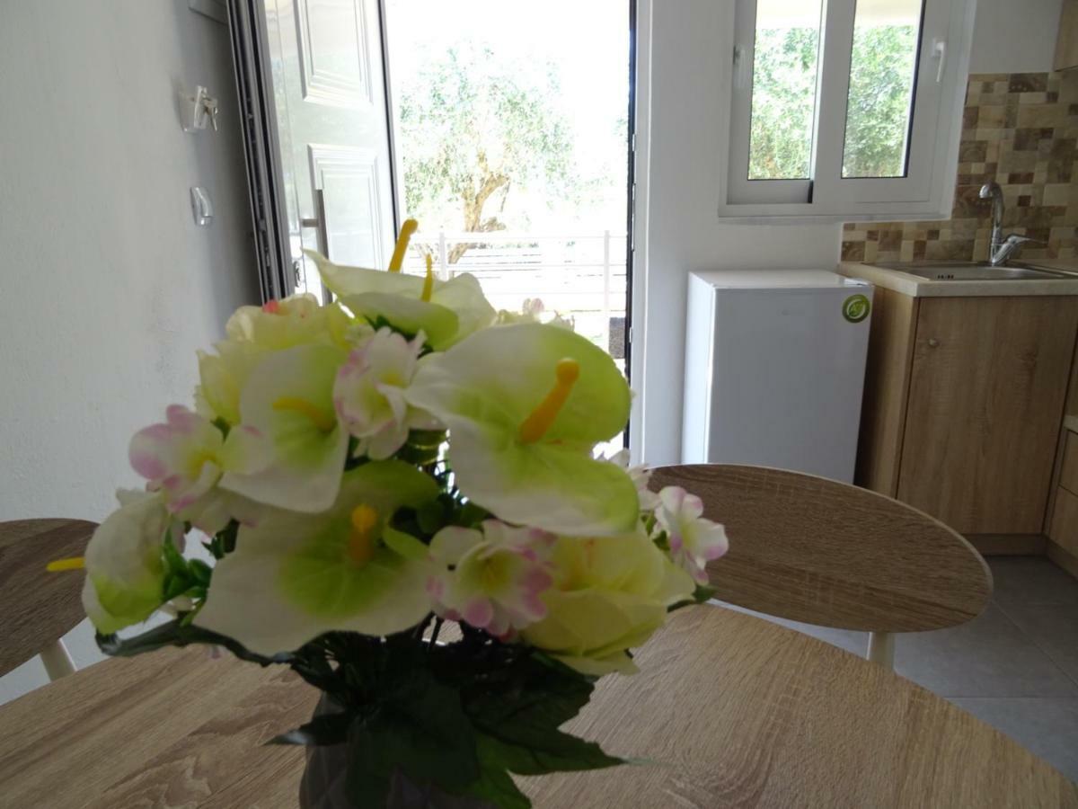 Apartment Dimitra